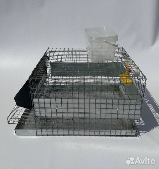 Клетки для перепелов