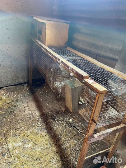 Клетка для кроликов с маточником