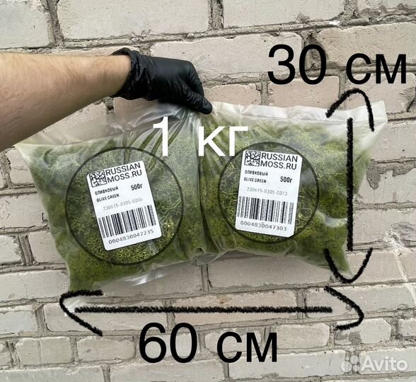 Стабилизированный мох, 1 кг, цвет Изумрудный