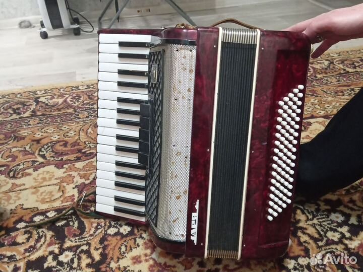 Аккордеон