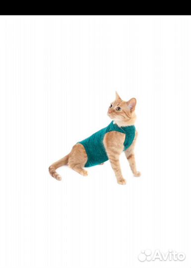 Новая Попона послеоперационная