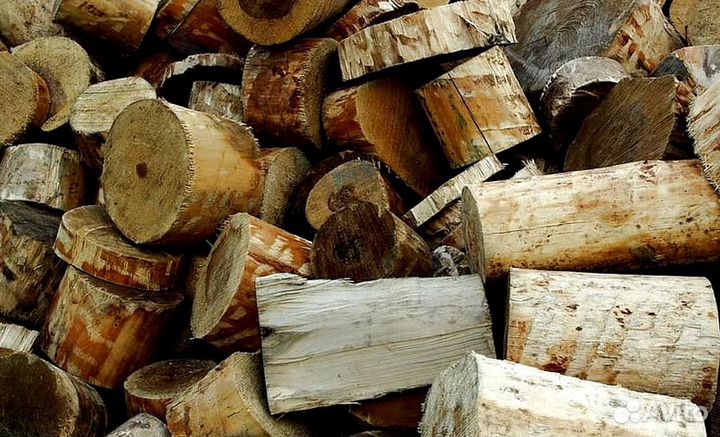 Дрова осина