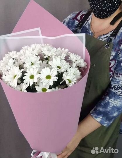 Хризантема