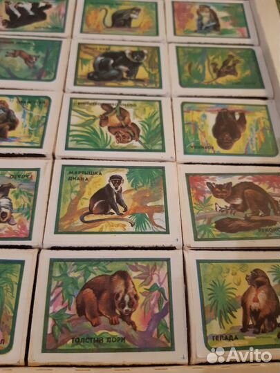 Набор спичек 