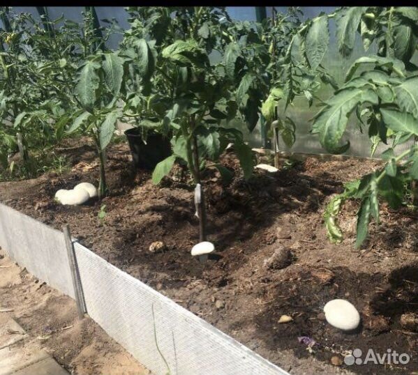 Компост грибной от шампиньонов в мешках