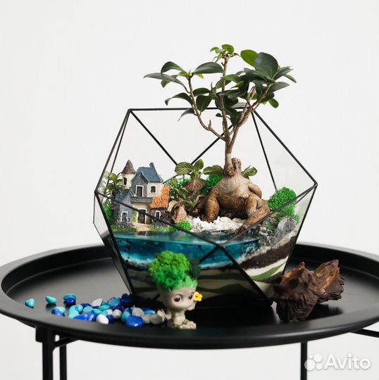 Флорариумы