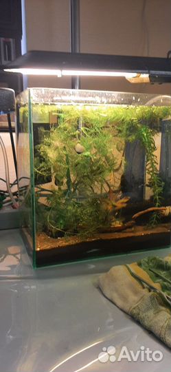 Украшение для аквариума