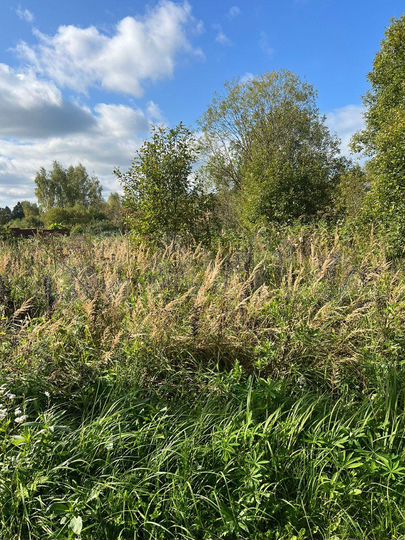 Участок 7 сот. (СНТ, ДНП)