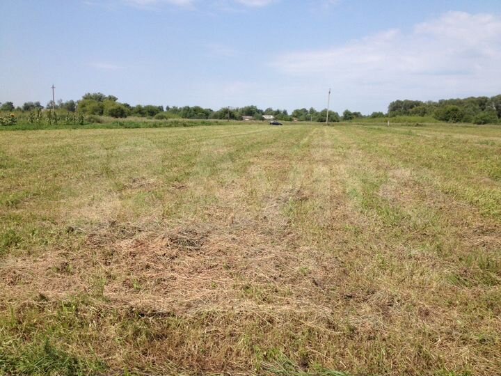 Участок 59 сот. (ИЖС)