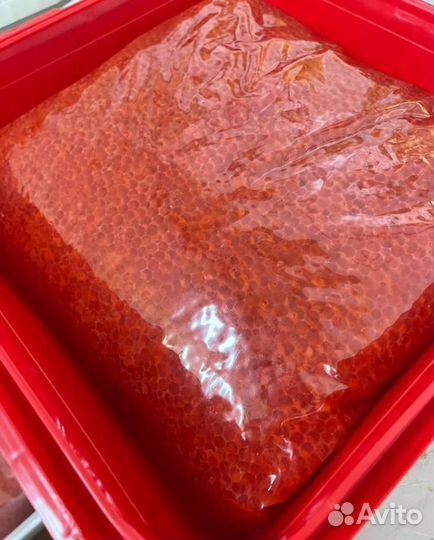 Красная икра оптом