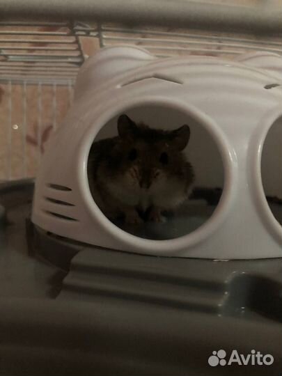 Продам клетку