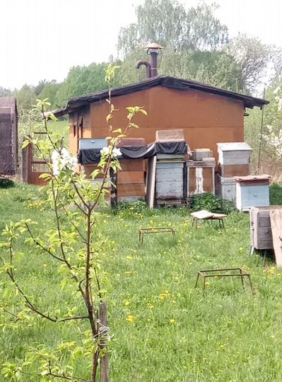 Участок 32 сот. (СНТ, ДНП)