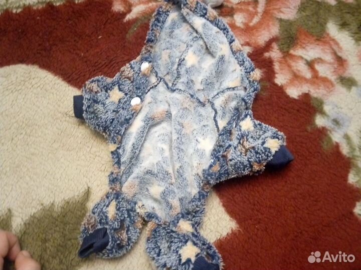 Одежда для маленьких собак