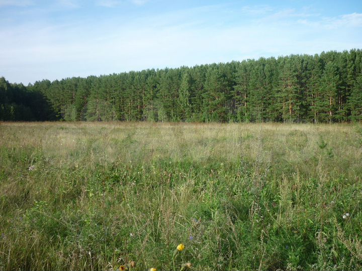 Участок 7,5 га (СНТ, ДНП)