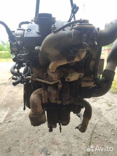 Двигатель Volkswagen Polo 4 (2001 - 2009) 1.4 amf