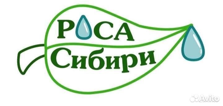 Разработка логотипа/визиток/листовок