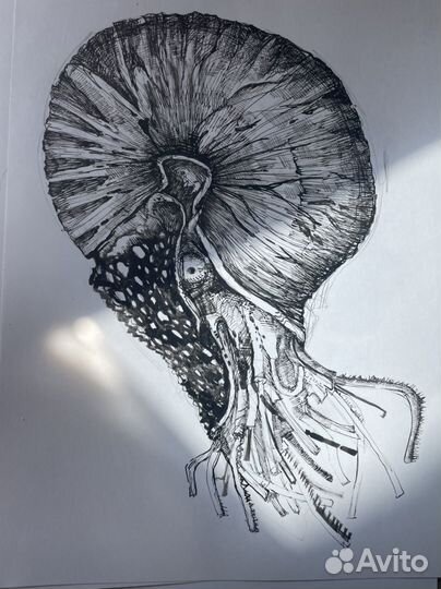 Алоэ Картина графика тушь постер зарисовка