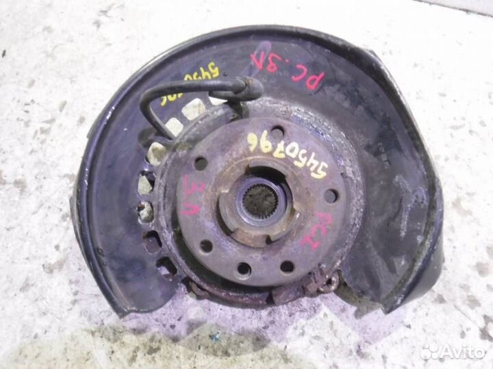 Кулак задний левый