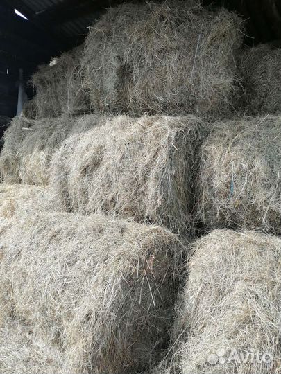 Сено в рулонах