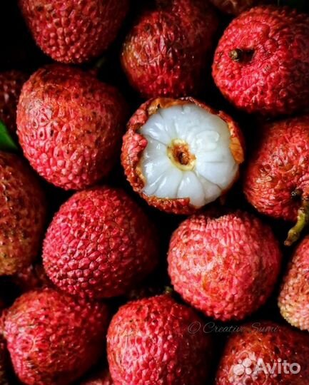 Norana perfumes moon 1947 white