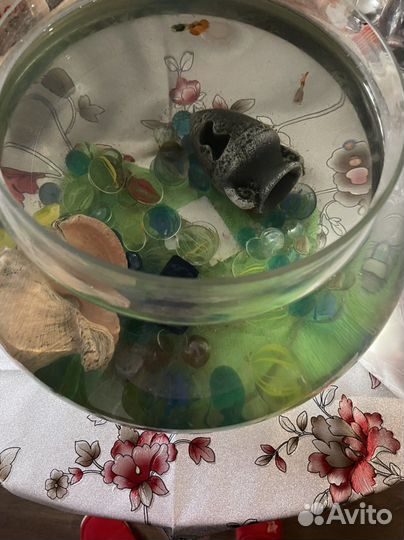Аквариум с рыбками