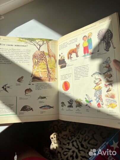 Энциклопедия для дошкольника