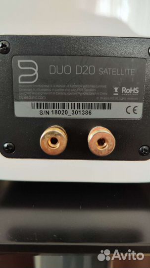 Акустическая система Bluesound Duo D20