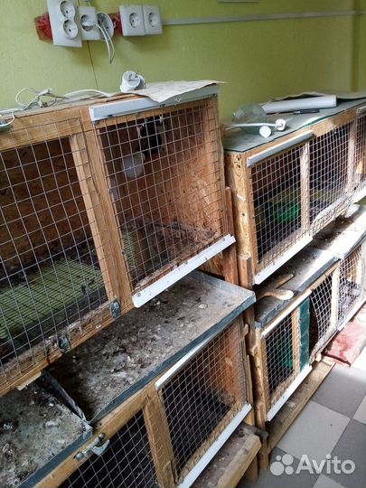 Клетки для бройлеров бу