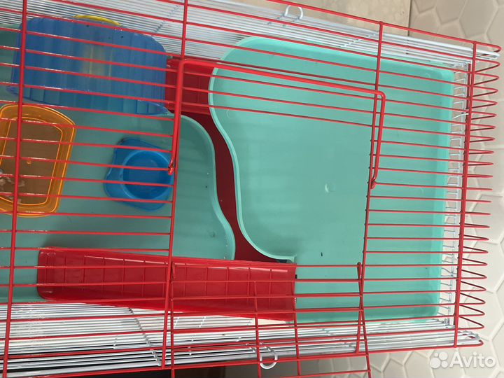 Клетка для хомяка большая