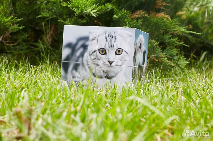 Фотокубик - трансформер\154