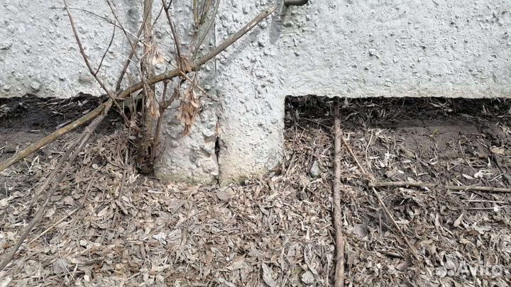 Забор жби бу