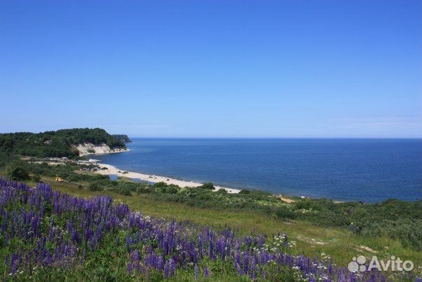 Экскурсии по Калининграду и Калининградской област