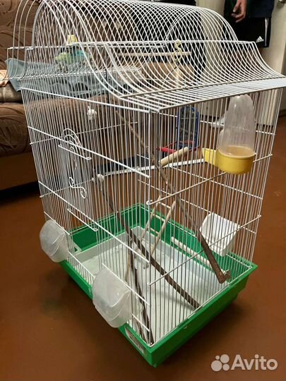 Клетка для попугая