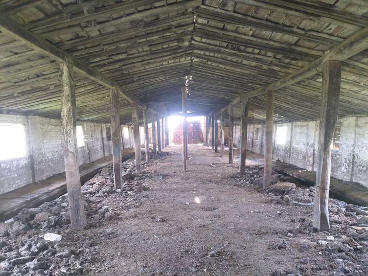 Участок 26,1 сот. (СНТ, ДНП)