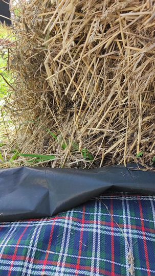 Участок 5 сот. (СНТ, ДНП)