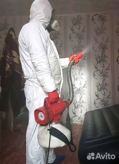 Средство для Уничтожения клопов травли тараканов, блох