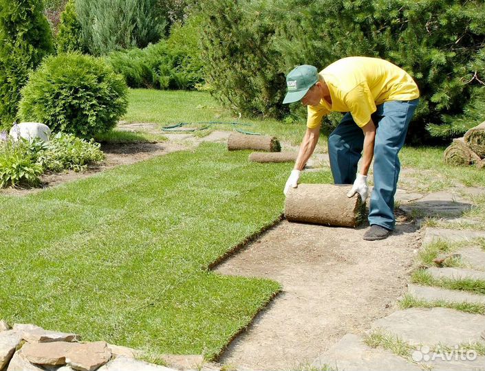 Газон от производителя