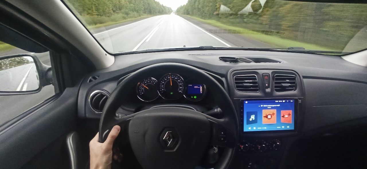 Renault Sandero Stepway: фото владельца