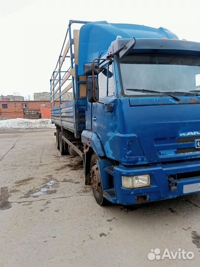 КАМАЗ 65117-N3, 2010