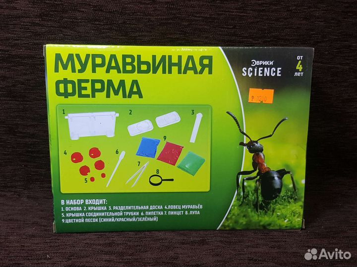 Муравьиная ферма