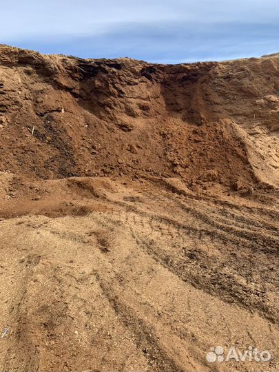 Опилок прелый