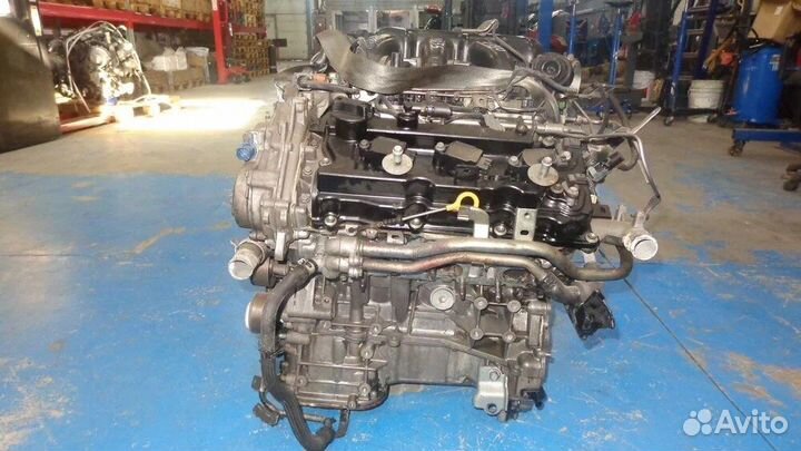 Двигатель nissan VQ35DE maxima 2WD