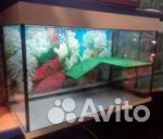 Аквариумы для черепах