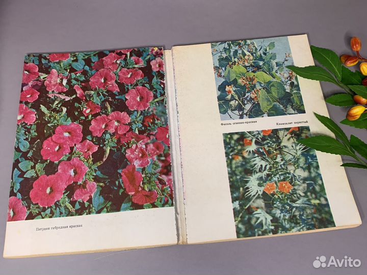 Книга про цветы