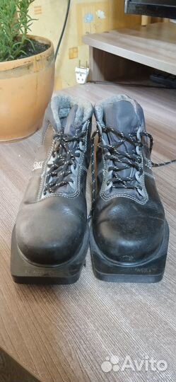 Лыжные ботинки