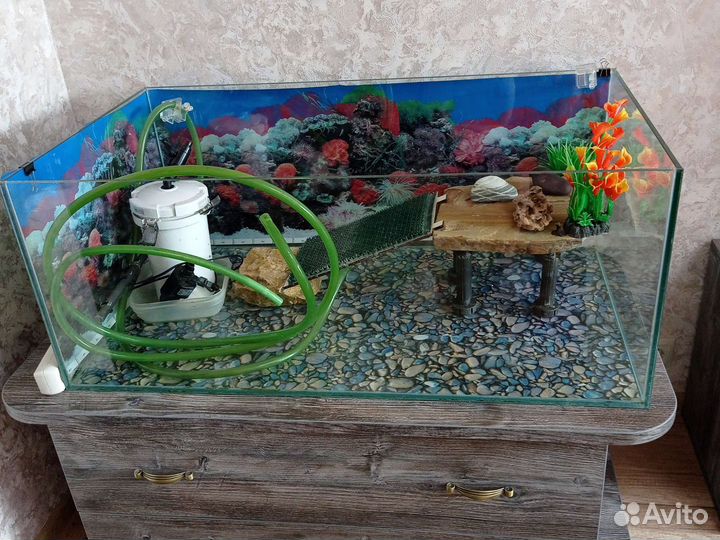 Террариум для красноухой черепахи