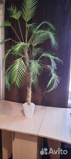 Искусственная пальма