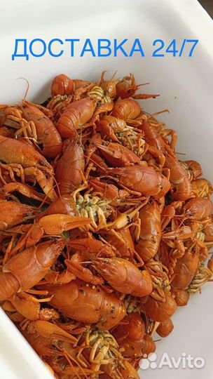Раки вареные и живые 24/7