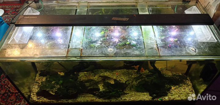 Аквариум 200л с тумбой