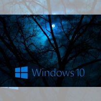 Установка/переустановка Windows 10. Office